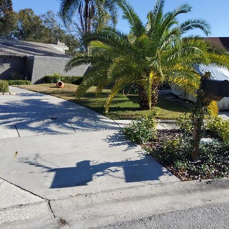Beautiful Apartment Close To Everything Tampa Buitenkant foto
