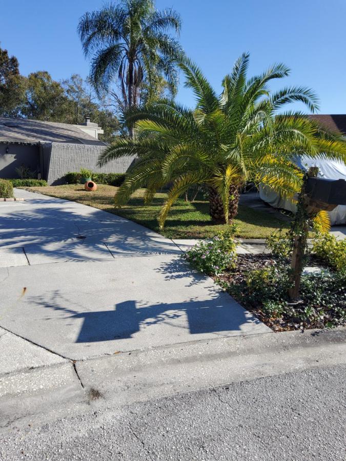 Beautiful Apartment Close To Everything Tampa Buitenkant foto