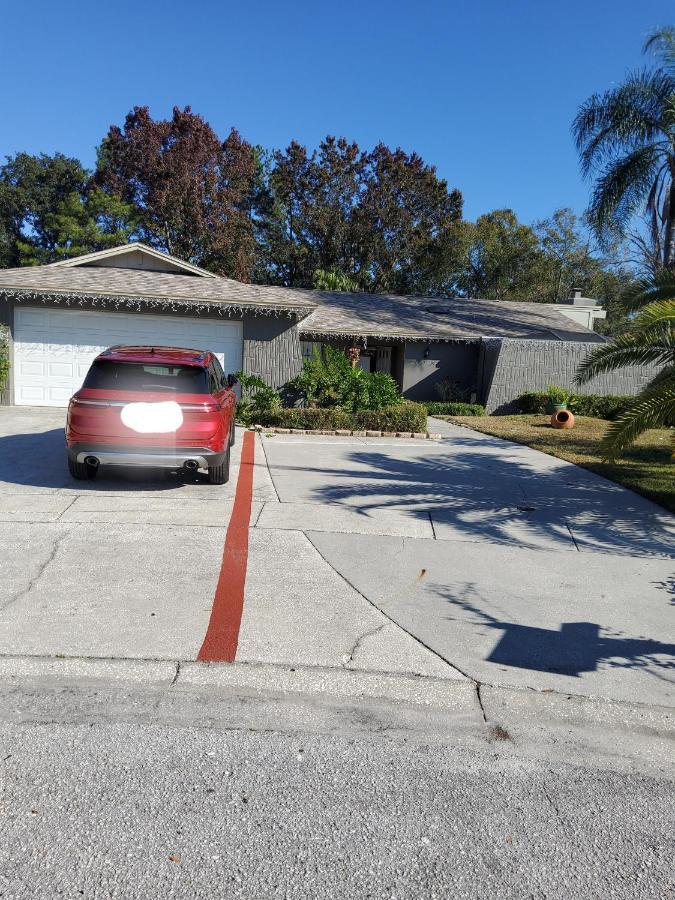Beautiful Apartment Close To Everything Tampa Buitenkant foto
