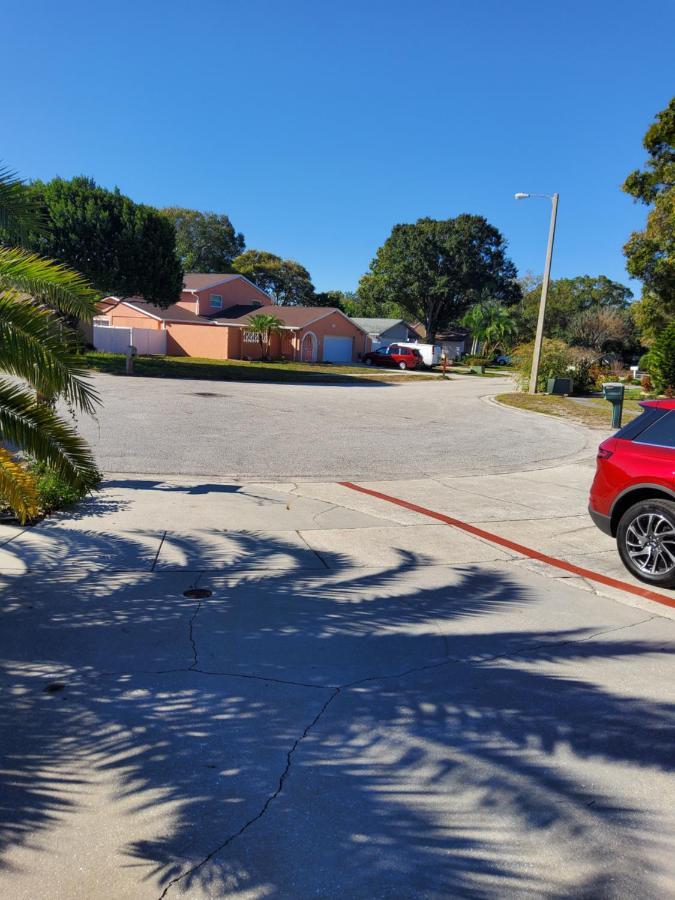 Beautiful Apartment Close To Everything Tampa Buitenkant foto