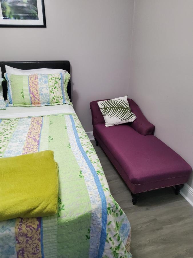 Beautiful Apartment Close To Everything Tampa Buitenkant foto