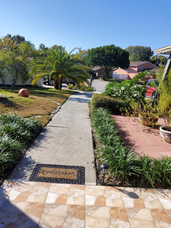 Beautiful Apartment Close To Everything Tampa Buitenkant foto