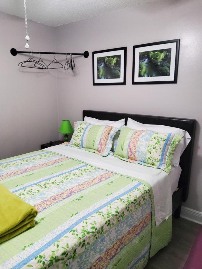 Beautiful Apartment Close To Everything Tampa Buitenkant foto